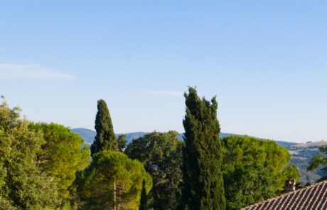 gite avec piscine en Toscane