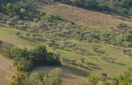 agriturismo à Pomarance toscane