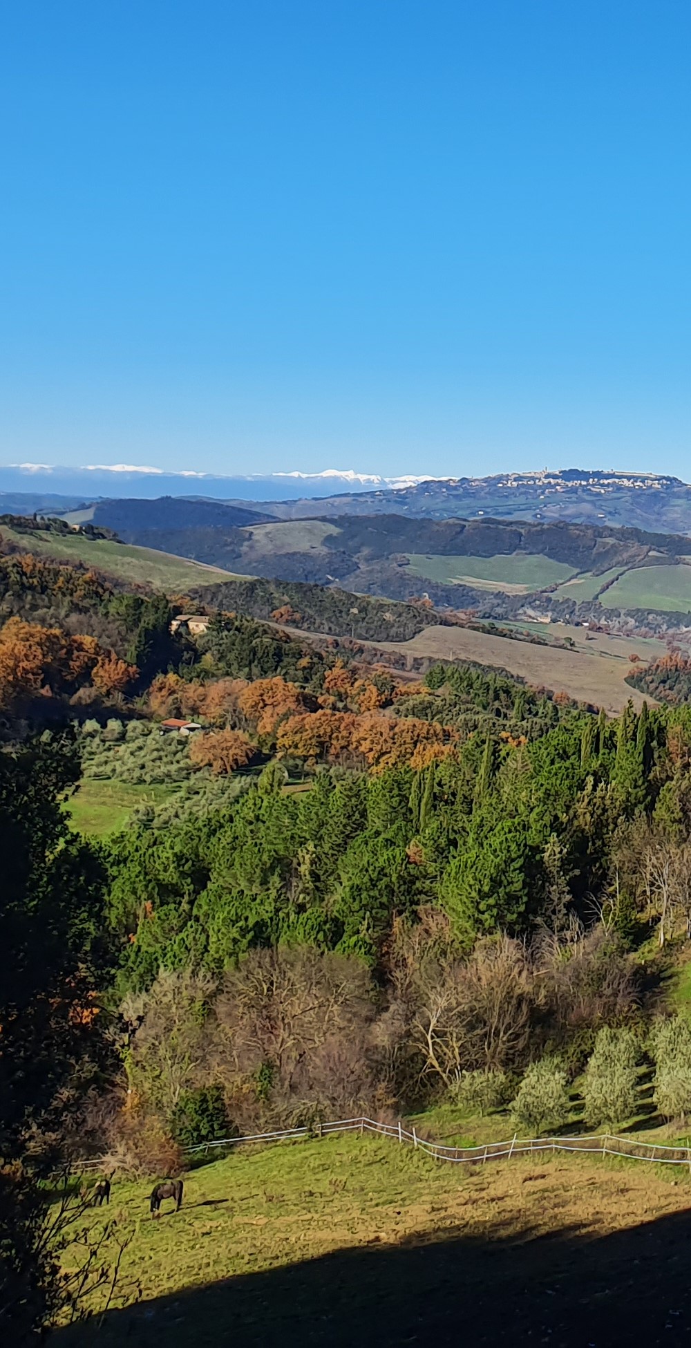 Hiver en Toscane Italie soleil et vert