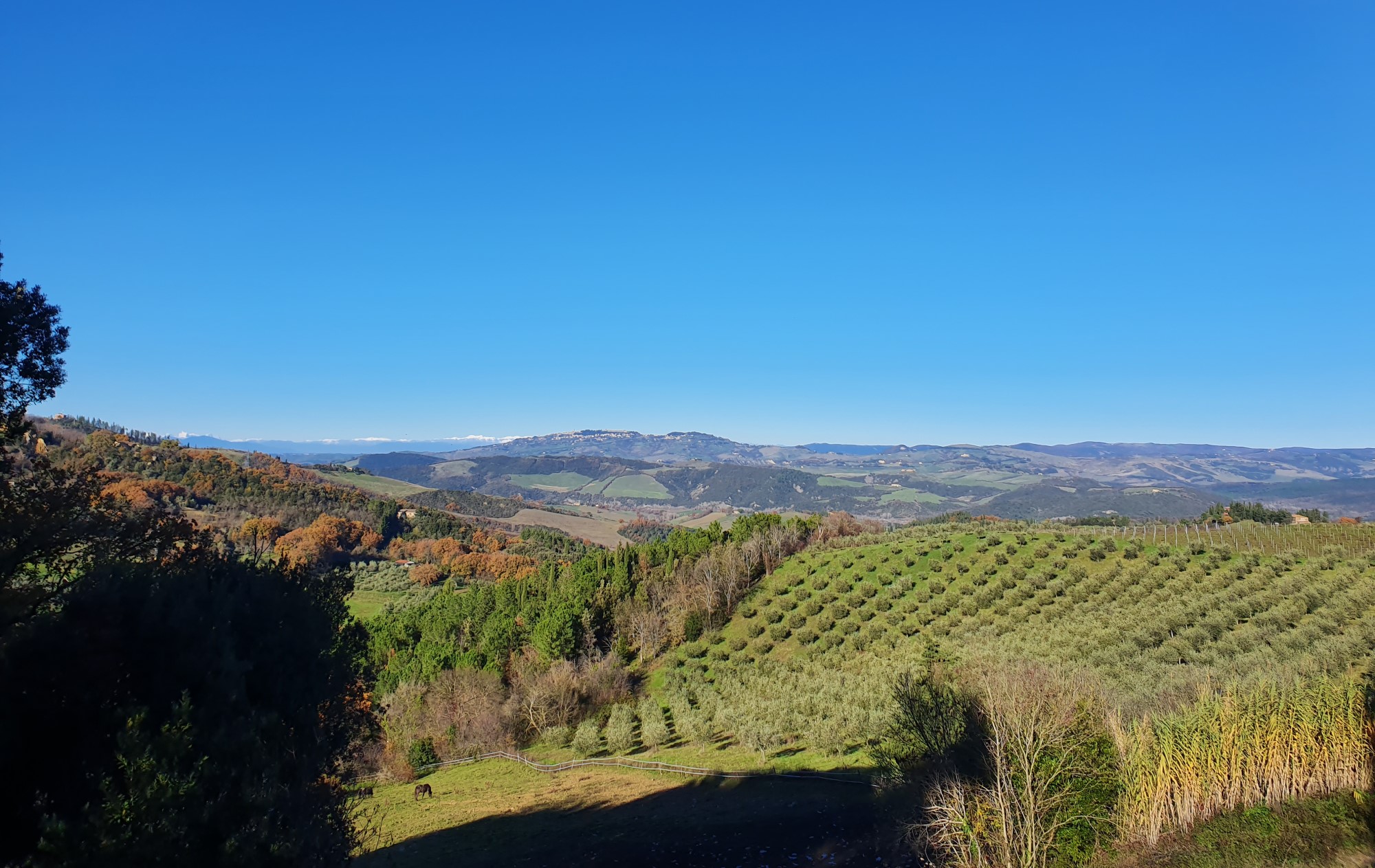 Hiver en Toscane Italie soleil et vert