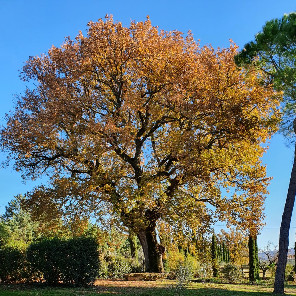 vacances toscane italie automne gîte agriturismo